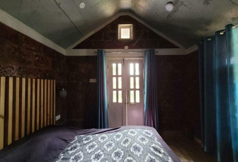 标准间, The Dandelion   Colonels Jungle Resort