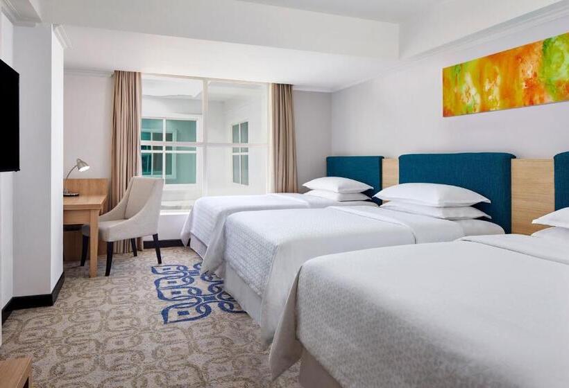 豪华三人间, Four Points By Sheraton Makassar