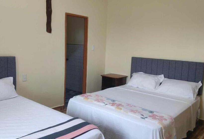 اتاق لوکس خانوادگی, Whitesands Beach Resort