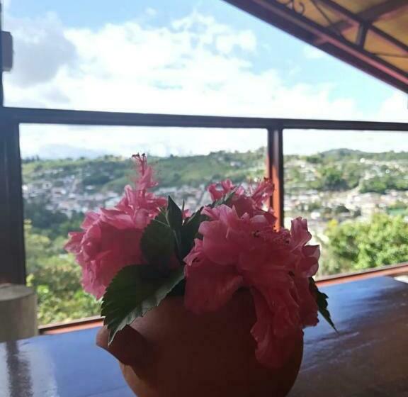 اتاق خانوادگی, San Agustín Wayrana