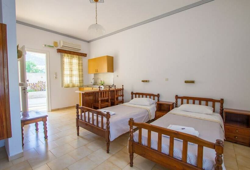 Студия Стандарт Вид на Море, Irene Hotel Leros