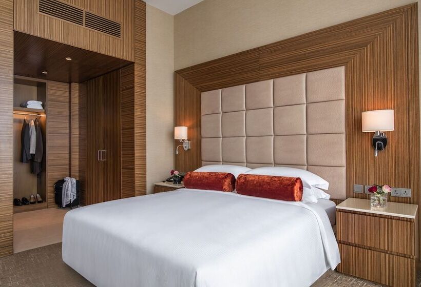 带城市景观带一个卧室的公寓, City Centre Rotana Doha