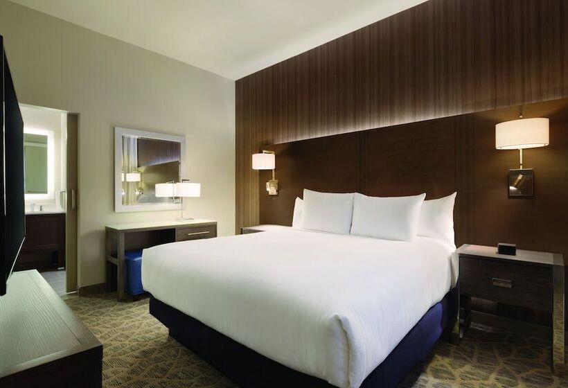 Студия Стандарт Двуспальная Кровать, Embassy Suites By Hilton The Woodlands At Hughes Landing