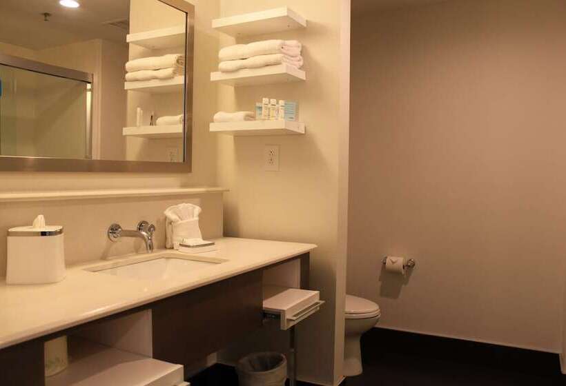 Стандартный Номер Кровать Кинг, Hampton Inn Bainbridge