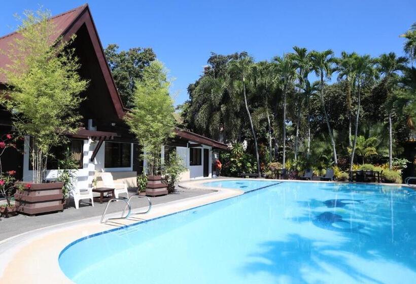 プールの見えるエクゼクティブルーム, Domicilio Lorenzo