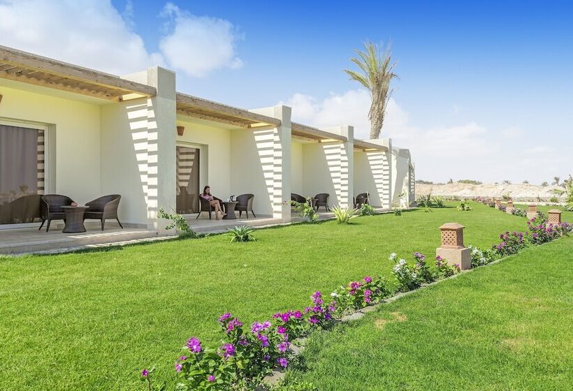 اتاق سوپریور با چشم‌انداز دریا, Caesar Bay Resort