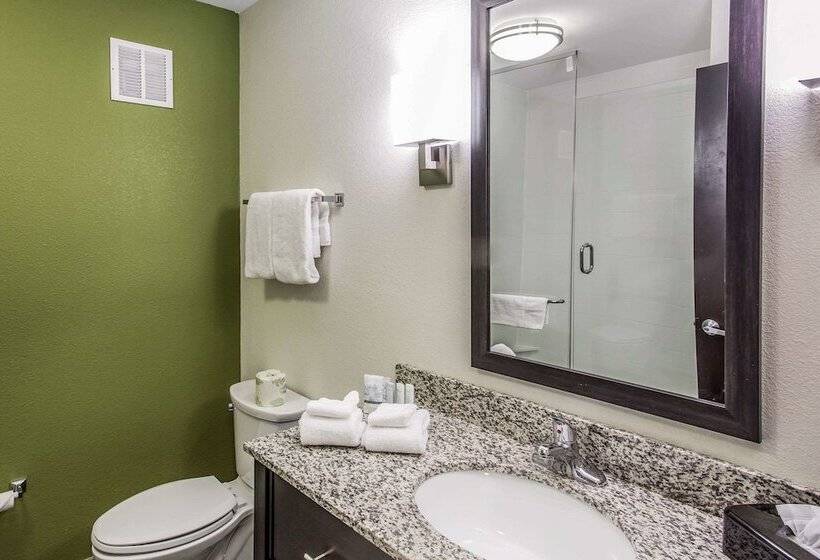 适合残疾人士使用的套间, Sleep Inn & Suites Dayton