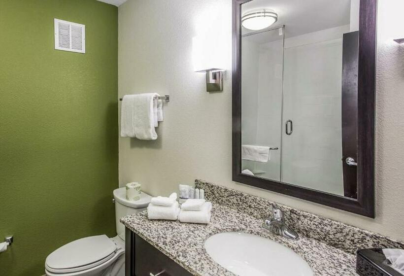 带大床的标准间, Sleep Inn & Suites Dayton