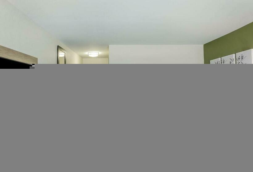 带大床的套房, Sleep Inn & Suites Dayton