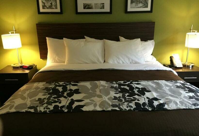 Quarto Estandar Cama King, Sleep Inn & Suites Dayton