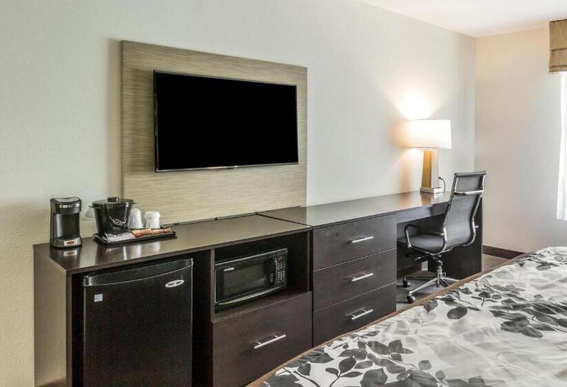 Quarto Estandar Cama King para Deficientes Físicos, Sleep Inn & Suites Dayton