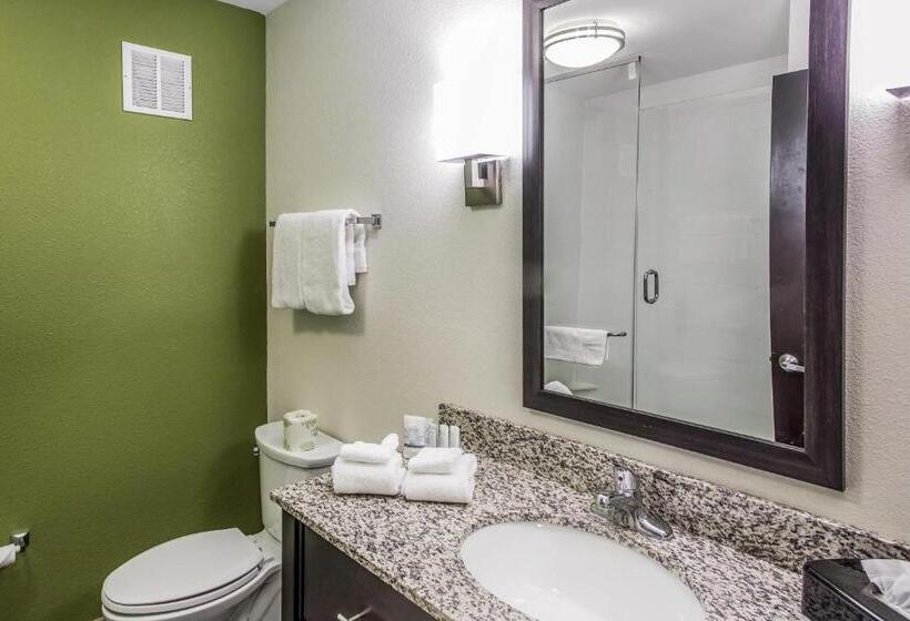 适合残疾人士使用的带超级大床的标准间, Sleep Inn & Suites Dayton