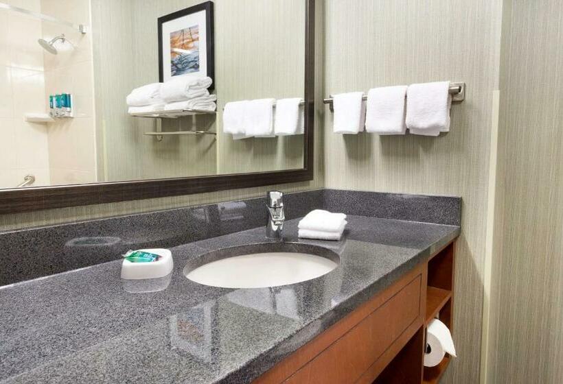 Номер Deluxe Кровать Кинг, Drury Inn & Suites Grand Rapids