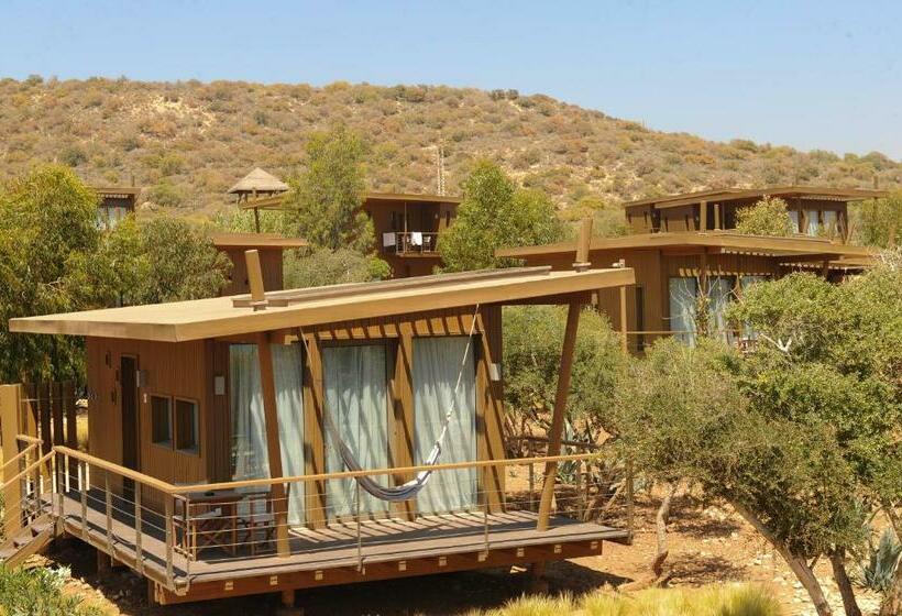 ویلای استاندارد با چشم‌انداز باغ, Radisson Blu Resort, Taghazout Bay Surf Village