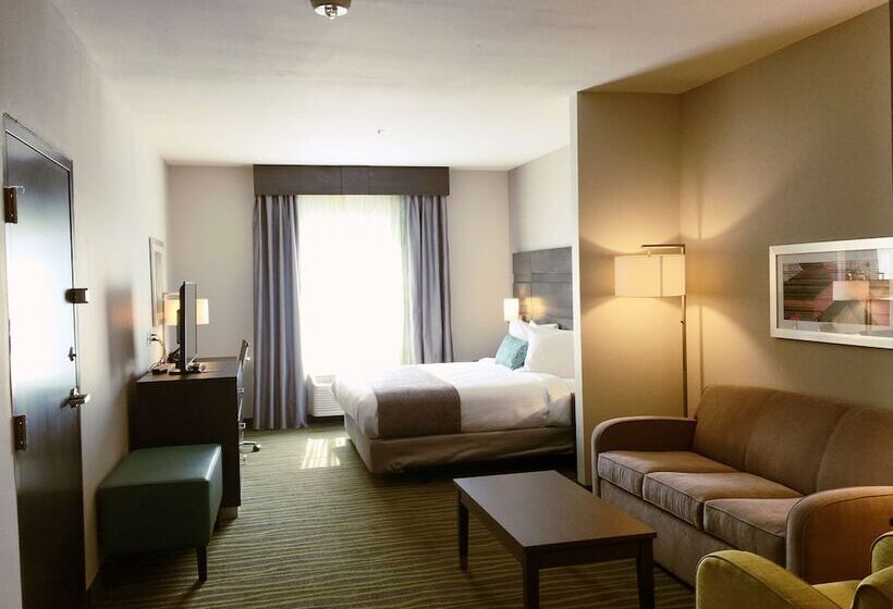 Люкс Адаптированный для Инвалидов, Best Western Plus Prien Lake Hotel & Suites   Lake Charles