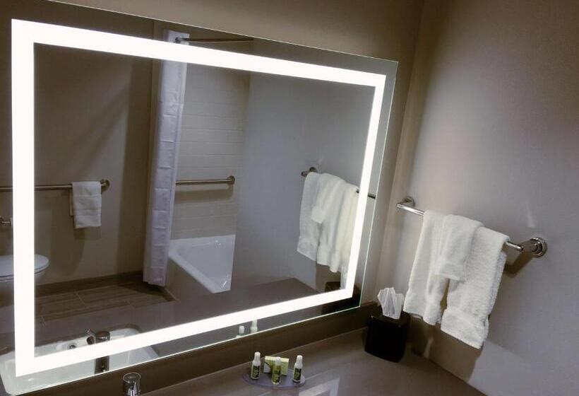 스탠다드 룸 킹사이즈 침대, Best Western Plus Prien Lake Hotel & Suites   Lake Charles