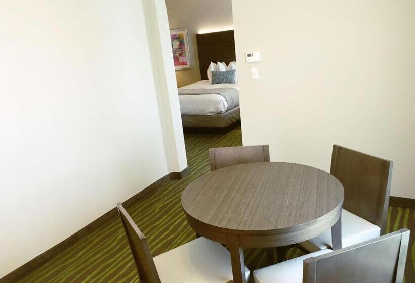 스위트, Best Western Plus Prien Lake Hotel & Suites   Lake Charles