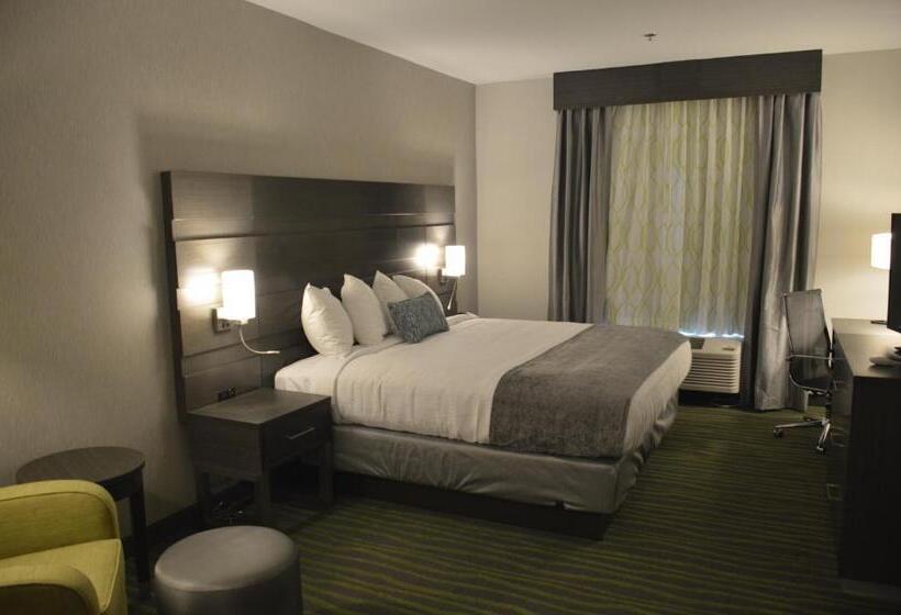 Номер Стандарт Кровать Кинг Адаптированный для Инвалидов, Best Western Plus Prien Lake Hotel & Suites   Lake Charles
