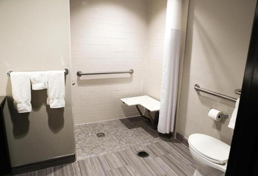 Номер Стандарт Кровать Кинг Адаптированный для Инвалидов, Best Western Plus Prien Lake Hotel & Suites   Lake Charles