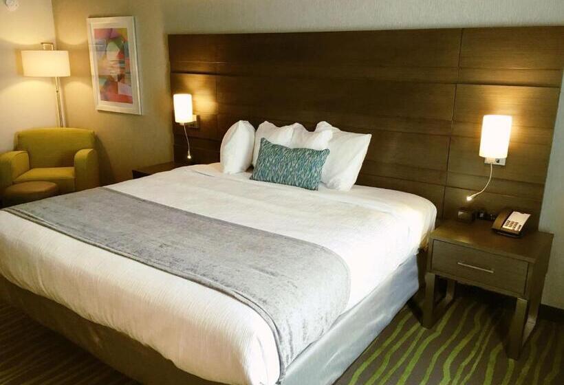 Стандартный Номер Кровать Кинг, Best Western Plus Prien Lake Hotel & Suites   Lake Charles