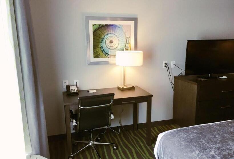 Номер Стандарт Кровать Кинг Адаптированный для Инвалидов, Best Western Plus Prien Lake Hotel & Suites   Lake Charles