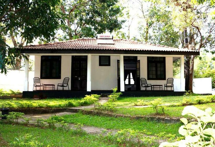 اتاق لوکس, Dambulu Oya Family Park