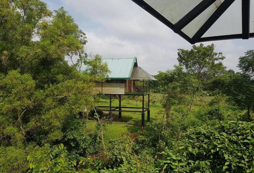 خانه 1 خوابه, Nice Place Resort