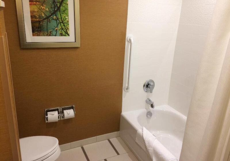 Люкс Кровать Кинг, Fairfield Inn & Suites By Marriott Sacramento Airport Woodland