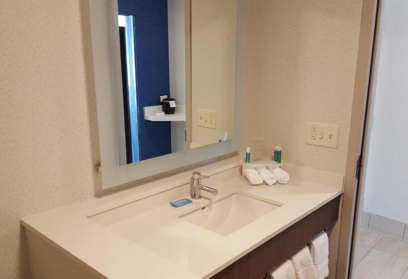 Люкс Кровать Кинг, Holiday Inn Express & Suites Oswego, An Ihg