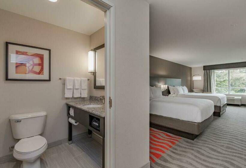 Номер Стандарт Кровать Кинг Адаптированный для Инвалидов, Holiday Inn Mishawaka, An Ihg