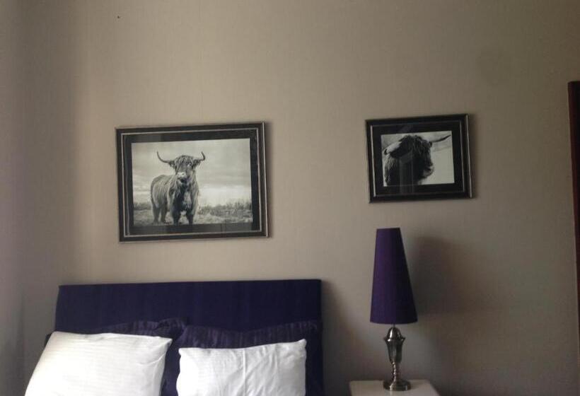 غرفة قياسية سرير كينج, Hannahs Guesthouse