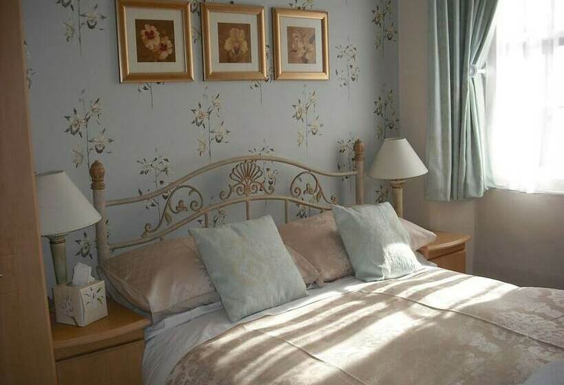 Номер Стандарт, Dolphin Guest House