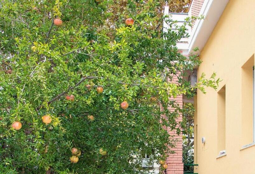 Номер Стандарт с Балконом, Villa Anna B&b