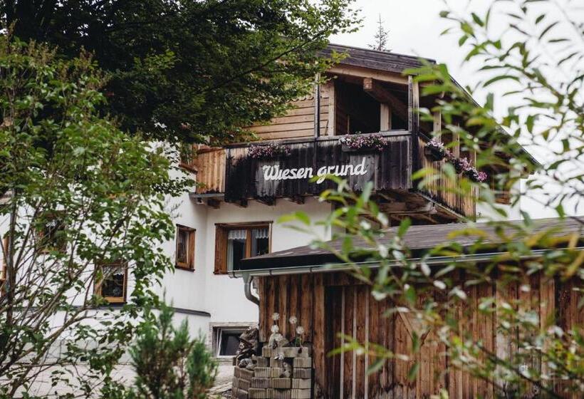 Апартаменты 1 Спальня с Видом, Aparthotels Berwang / Haus Wiesengrund