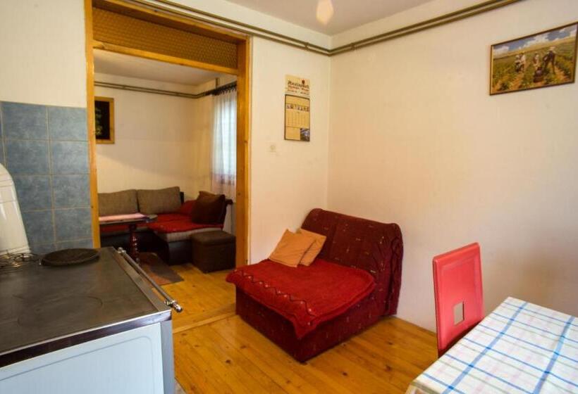 آپارتمان 1 خوابه همکف, Guest House Jezera
