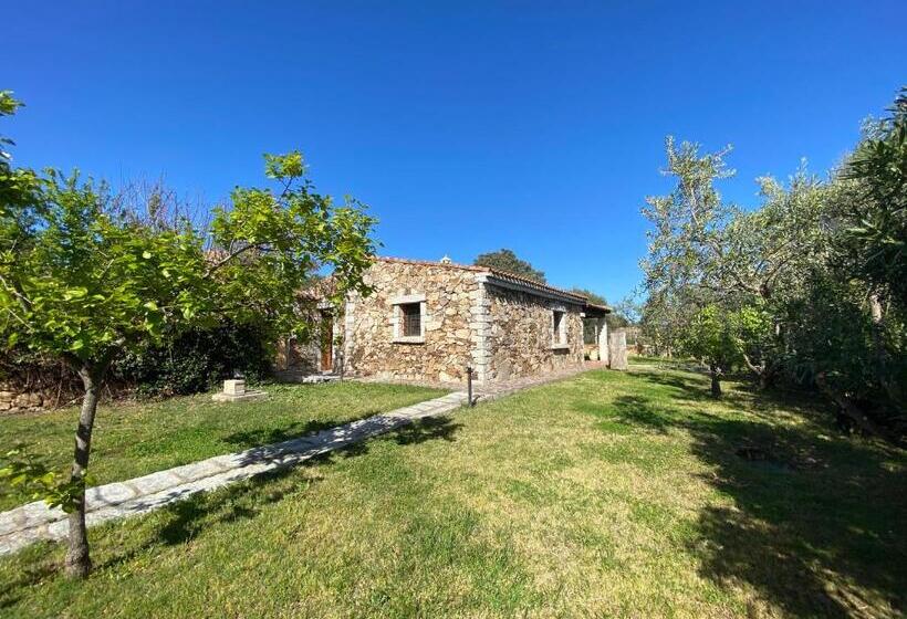 اتاق استاندارد با چشم‌انداز باغ, B&b Pettirosso Garden
