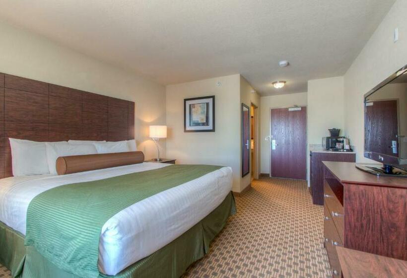 스탠다드 룸 킹사이즈 침대, Cobblestone Inn & Suites  Wray