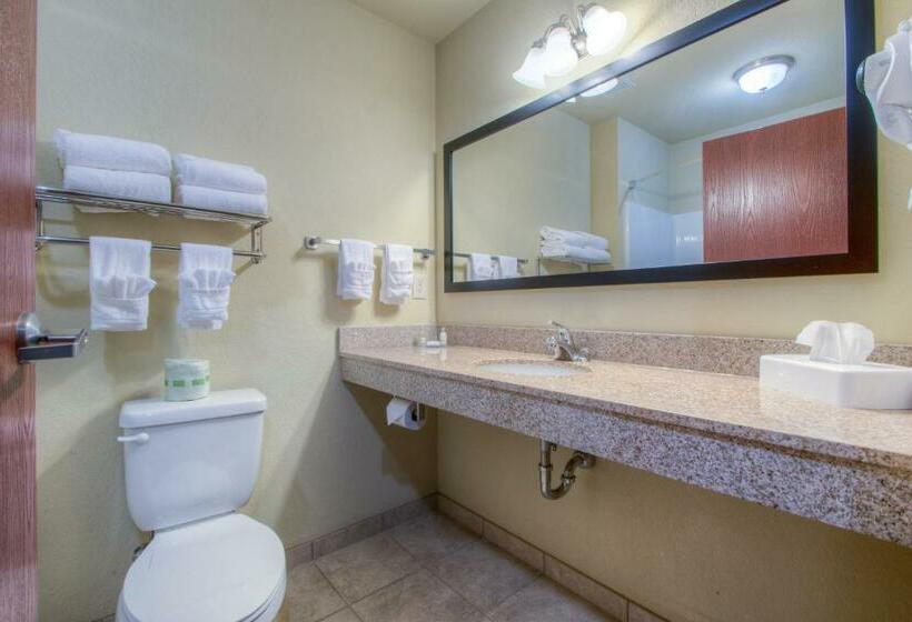 스탠다드 룸, Cobblestone Inn & Suites  Wray