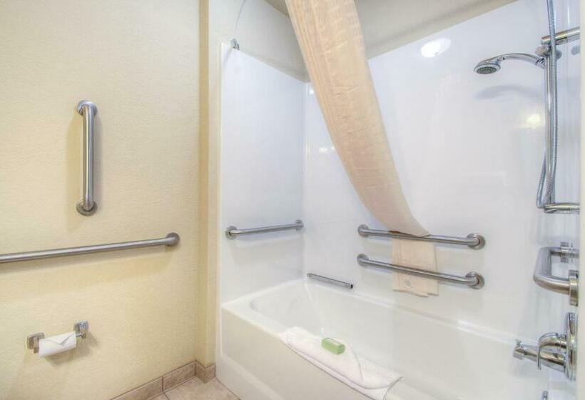 장애인을 위한 킹사이즈 침대 스탠다드 룸, Cobblestone Inn & Suites  Wray