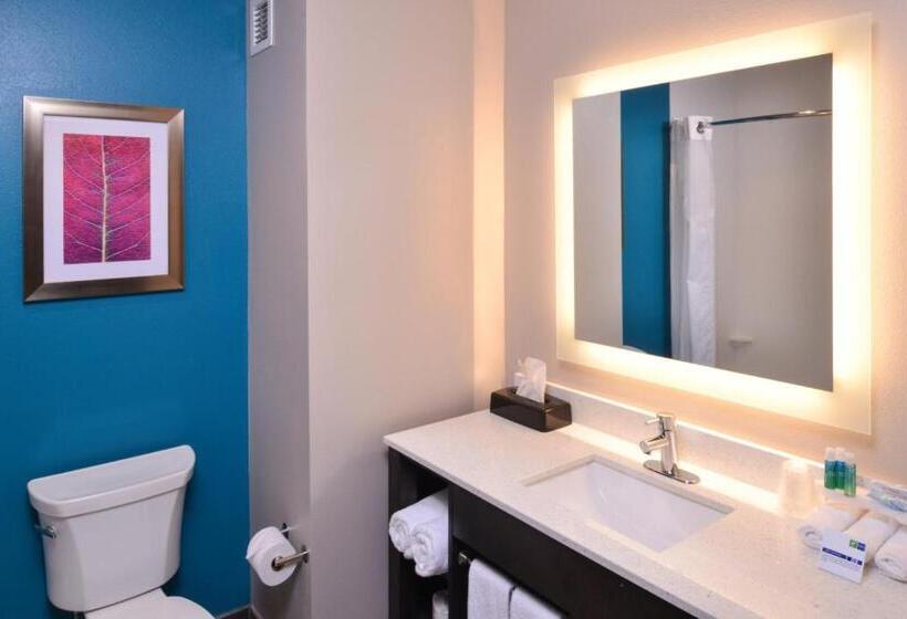 סוויטה, Holiday Inn Express And Suites Bryant   Benton Area, An Ihg