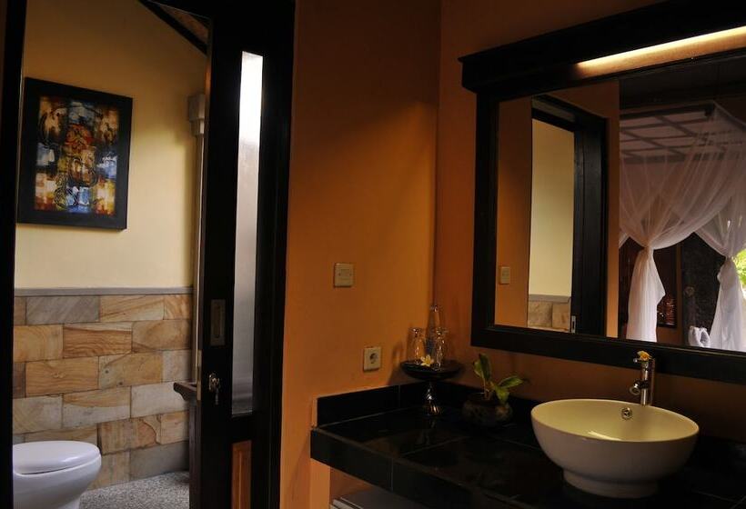 Номер Deluxe, Tirta Sari Bungalow