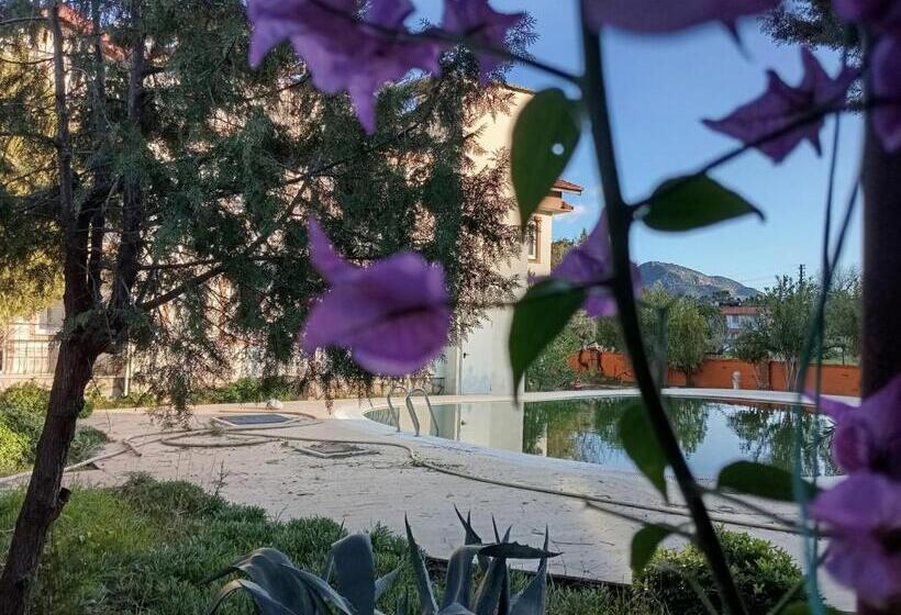 Номер Deluxe Вид на Горы, Nosi Otel Dalyan Otelleri̇