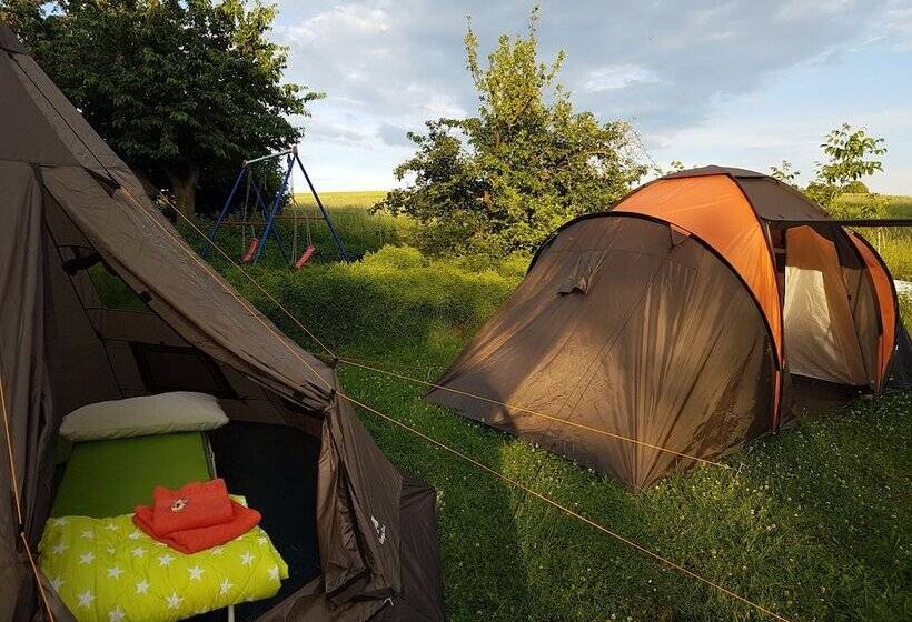 Standard Tent, Eternahof