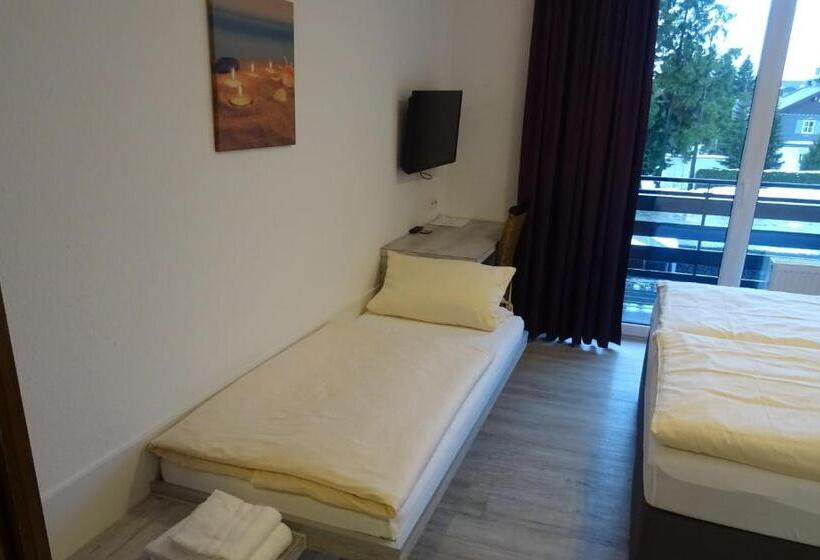 חדר סטנדרט לשלושה, Aktiv Hotel Winterberg