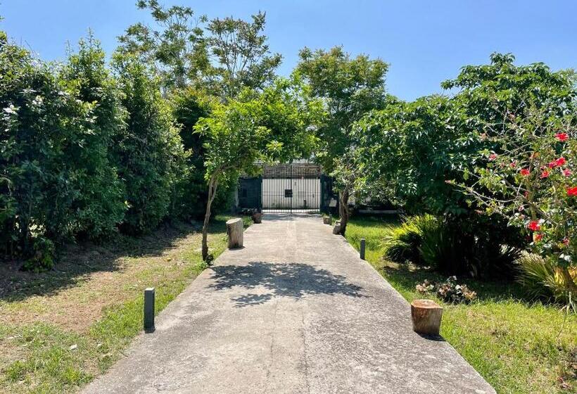 اتاق لوکس, Villa Morea & Rooms In Procida