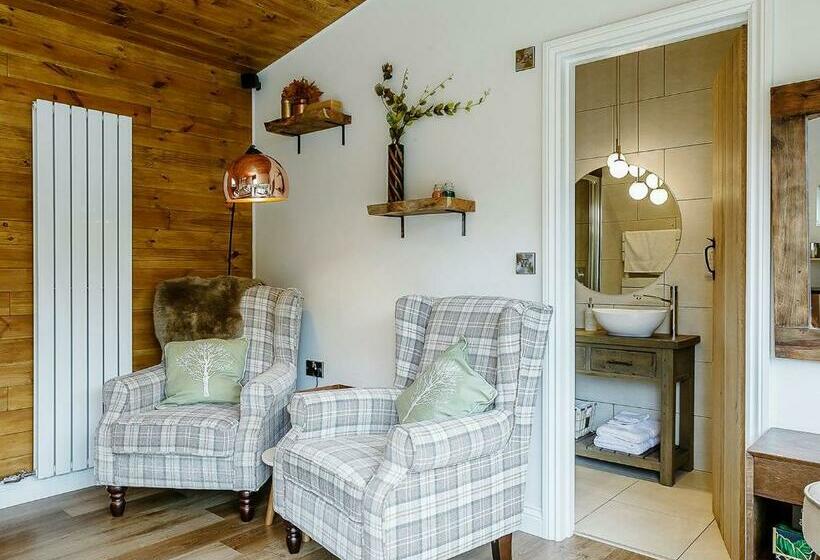 Дом 1 Спальня, Nantycoed Lodges