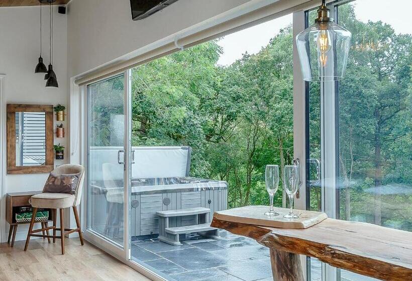 Дом 1 Спальня, Nantycoed Lodges