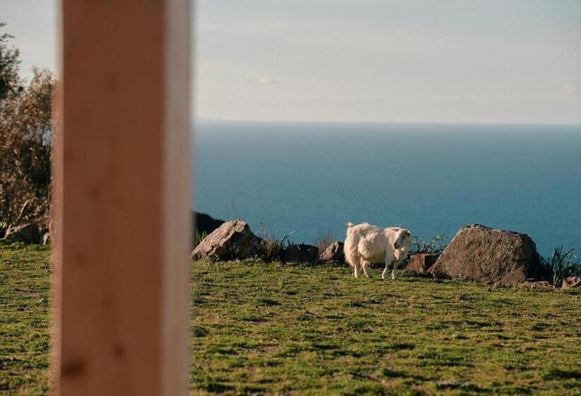 Номер Deluxe Вид на Море, New Suites Sea View Sardinia, Castelsardo