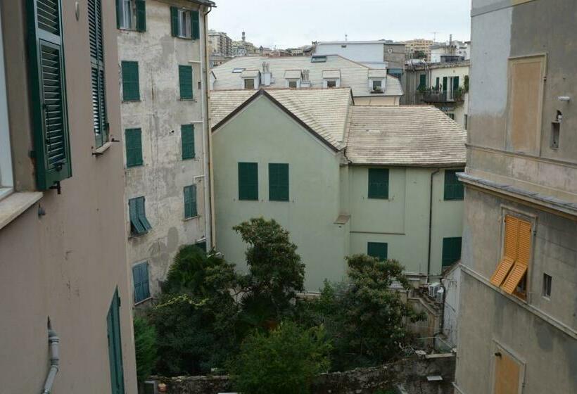 اتاق اکونومی, Olympia