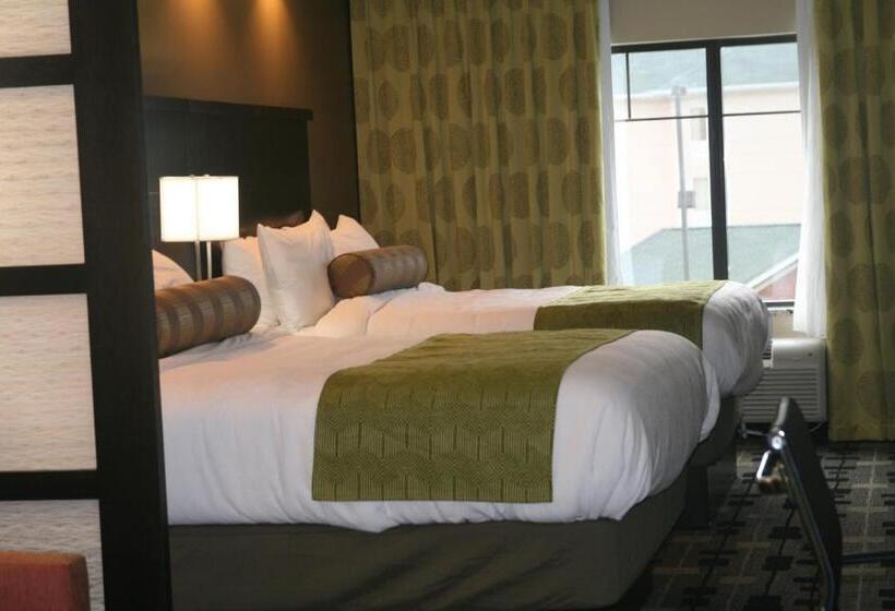 Номер Стандарт Адаптированный для Инвалидов, Best Western Premier University Inn